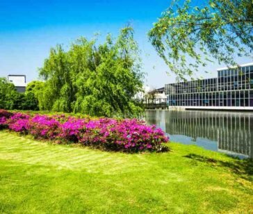 office-building-with-river (1)