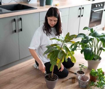 woman-changing-pots-her-plants-home-quarantine (1)